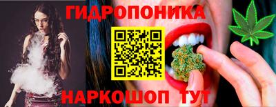 крисы Лесосибирск