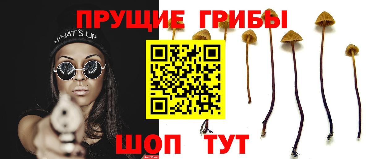 Псилоцибиновые грибы мицелий Елабуга