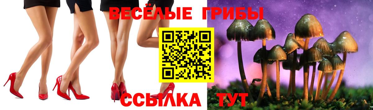 Елабуга  Галлюциногенные грибы ЛСД  Вход с VPN  Галлюциногенные грибы Cubensis 
